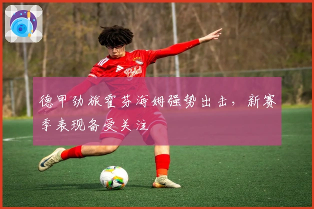 德甲劲旅霍芬海姆强势出击，新赛季表现备受关注