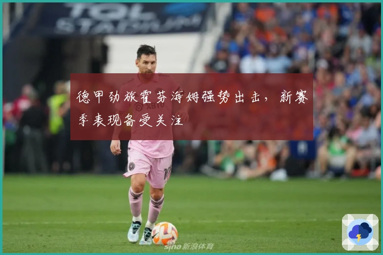 德甲劲旅霍芬海姆强势出击，新赛季表现备受关注