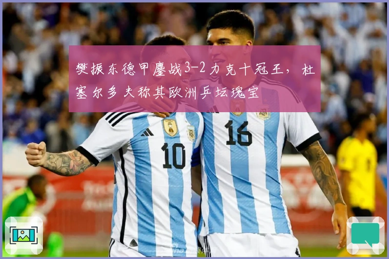 樊振东德甲鏖战3-2力克十冠王，杜塞尔多夫称其欧洲乒坛瑰宝